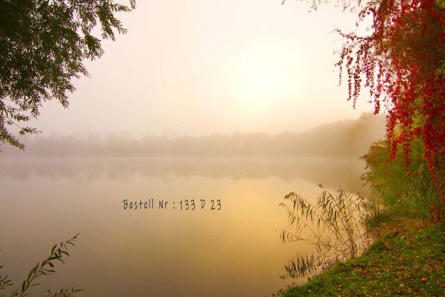 Herbstsonne am Wallersee, Rodgau