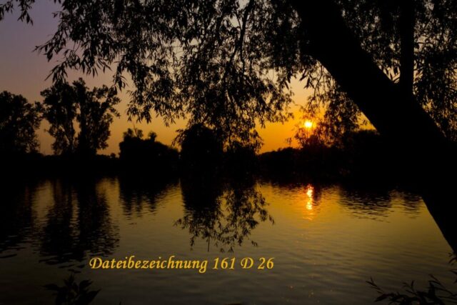 Sonnenaufgang am Main in Seligenstadt