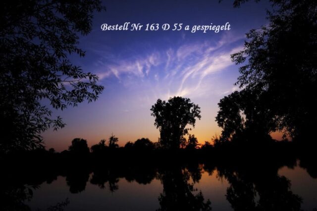 Sonnenaufgang am Main in Seligenstadt