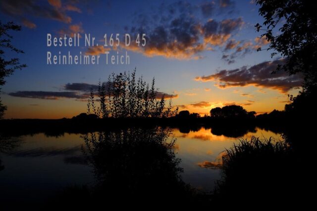 NSG Reinhemer Teich, Odenwald