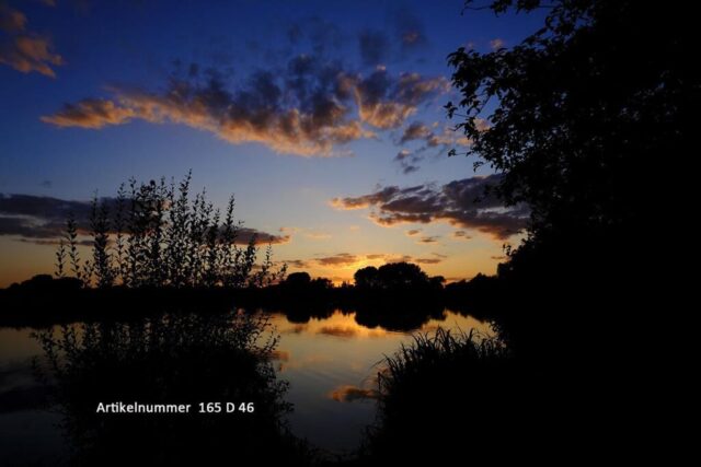 NSG Reinhemer Teich, Odenwald