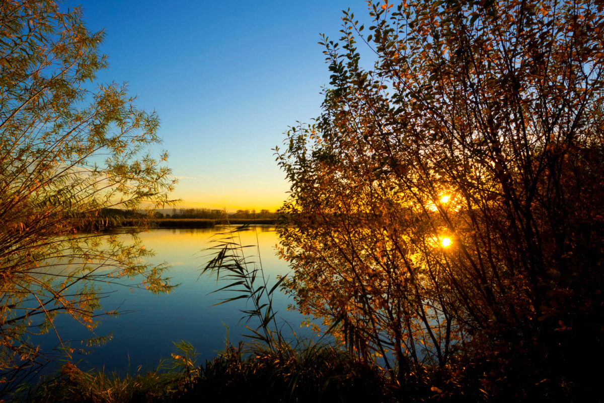 Kalendermotiv,Postkartenmotiv,HerbstabendamSee,Natur,Bilderverkauf,