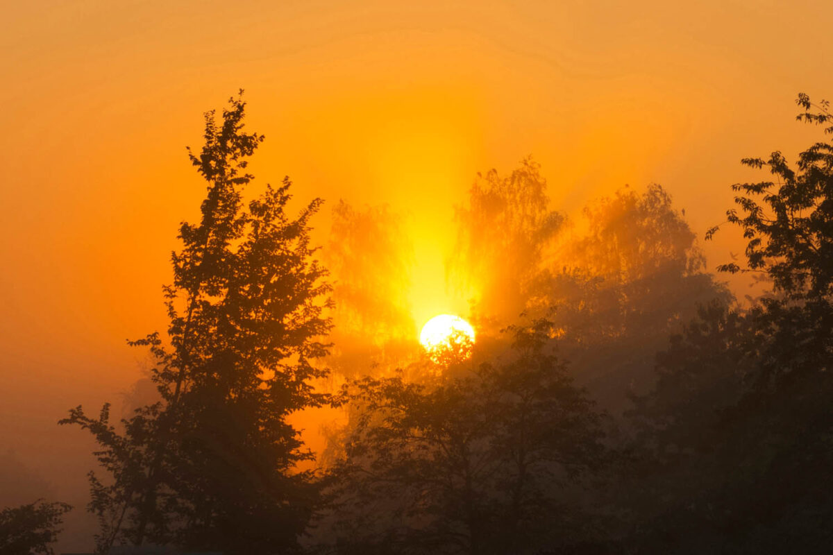 Sonnenaufgang,Postkartenmotiv,Kalendermotiv,Naturfoto,Naturmotive,Bilderverkauf,