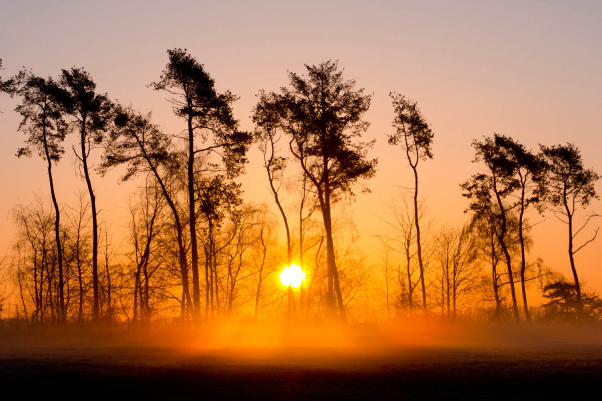 Sonnenaufgang,Postkartenmotiv,Kalendermotiv,Naturfoto,Naturmotive,Bilderverkauf,