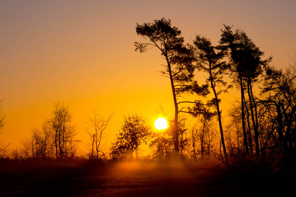 Kalendermotiv,Postkartenmotiv,Sonnenaufgang,Naturfoto,Naturmotive,Bilderverkauf,