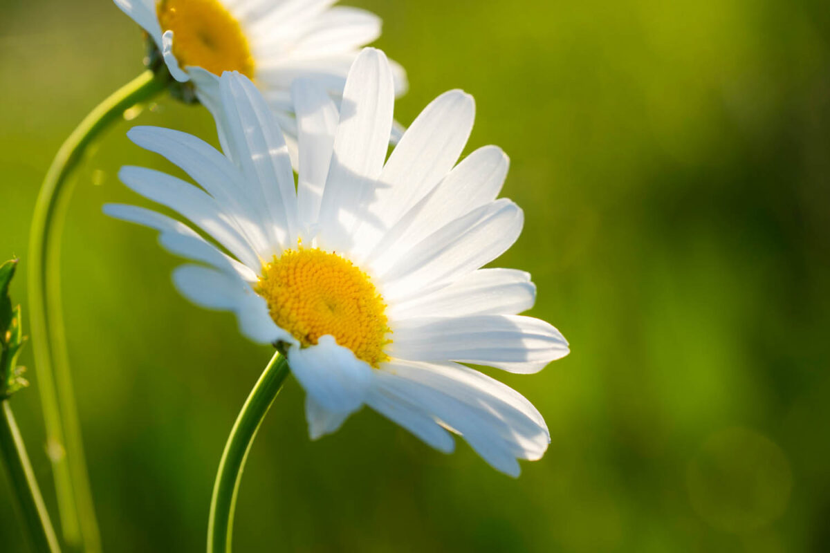Postkartenmotiv,Kalendermotiv,Naturfoto,Naturmotive,Bilderverkauf,