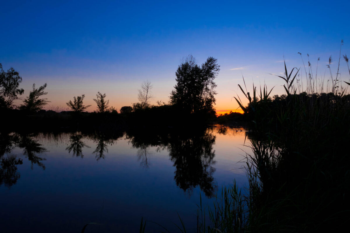 Sonnenuntergang am NSG Reinheimer Teich,Postkartenmotiv,Kalendermotiv,Naturfoto,Naturmotive,Bilderverkauf,